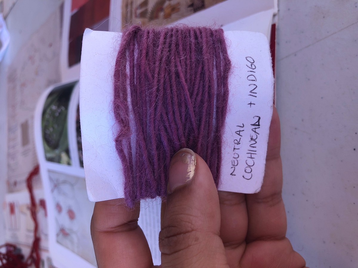 HOW TO MAKE PURPLE DYE WITH COCHINEAL, ORGANIC COLOR, WOOL SILK COTTON, RAINBOW PALETTE