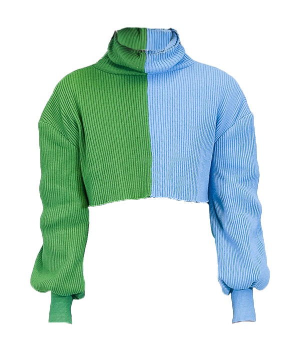 Two Tone Turtleneck Sweater